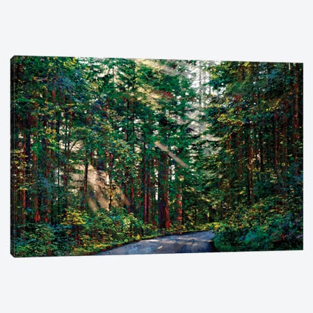 Redwoods II Canvas Print #LIR52} by Lisa Robinson Art Print