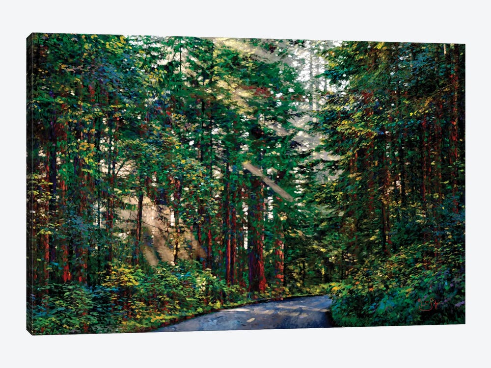 Redwoods II by Lisa Robinson 1-piece Canvas Wall Art