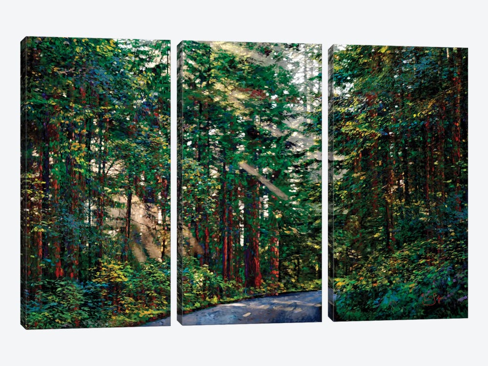 Redwoods II by Lisa Robinson 3-piece Canvas Artwork