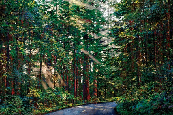 Redwood Trees: Redwoods II by Lisa Robinson
