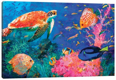 School Canvas Art Print - Coral Art