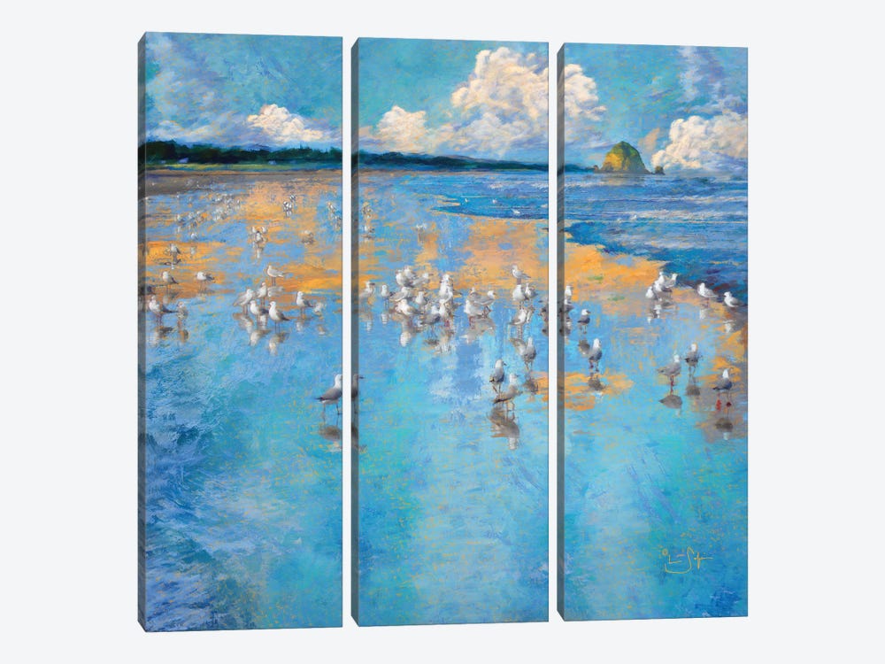 Seagulls by the Sea by Lisa Robinson 3-piece Art Print