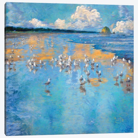 Seagulls by the Sea Canvas Print #LIR55} by Lisa Robinson Canvas Artwork