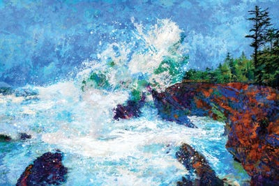 Shores Acres by Lisa Robinson framed wall art