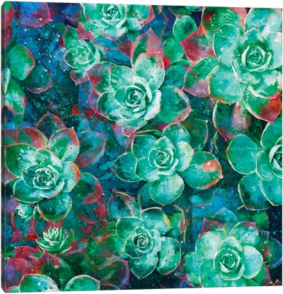 Succulent Canvas Art Print - Green with Envy