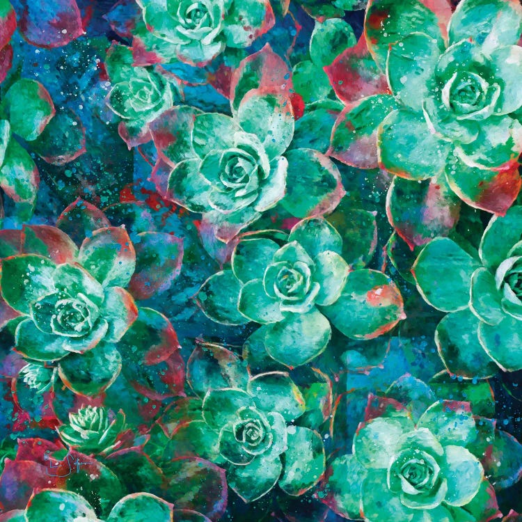 Succulent