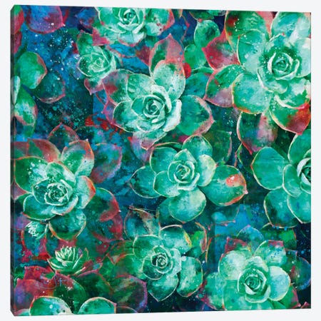 Succulent Canvas Print #LIR59} by Lisa Robinson Canvas Art Print