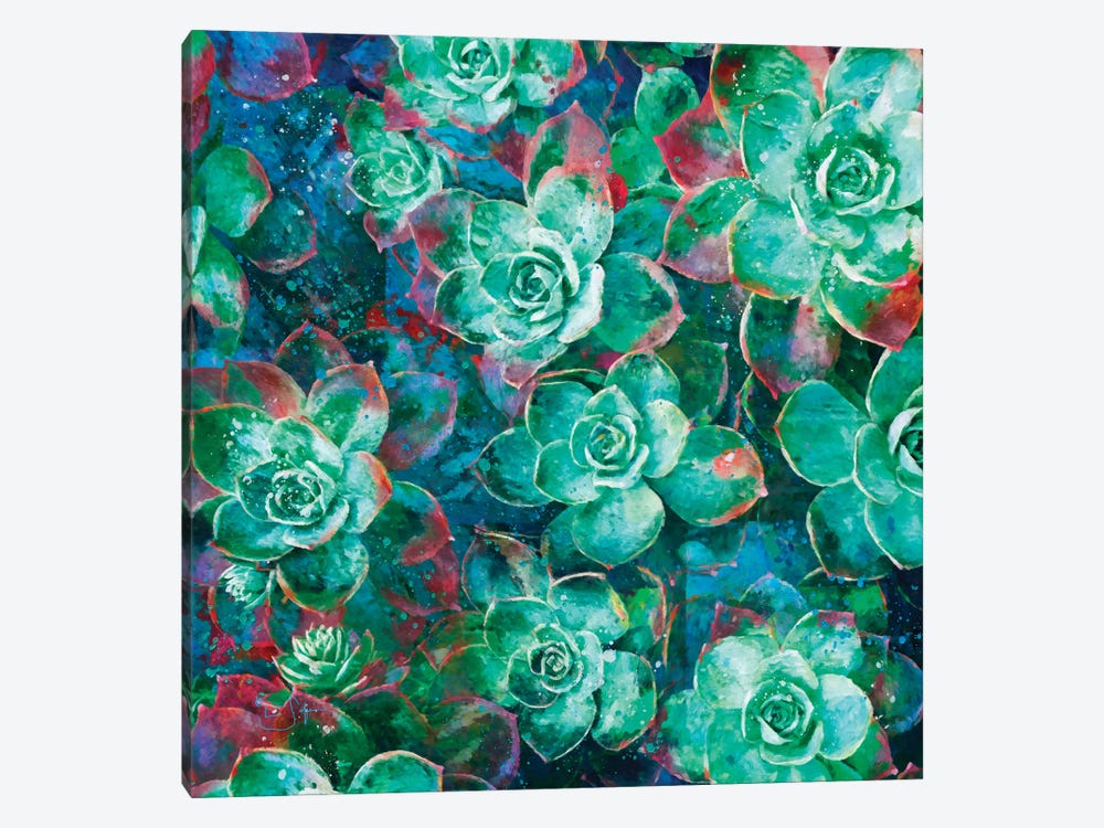 Succulent by Lisa Robinson 1-piece Canvas Print