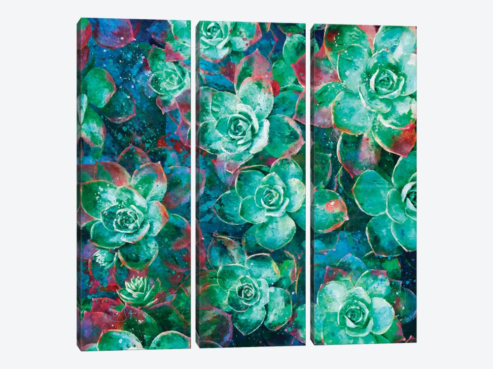 Succulent by Lisa Robinson 3-piece Canvas Art Print