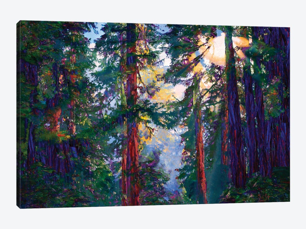 Sunlight Through Trees by Lisa Robinson 1-piece Canvas Print