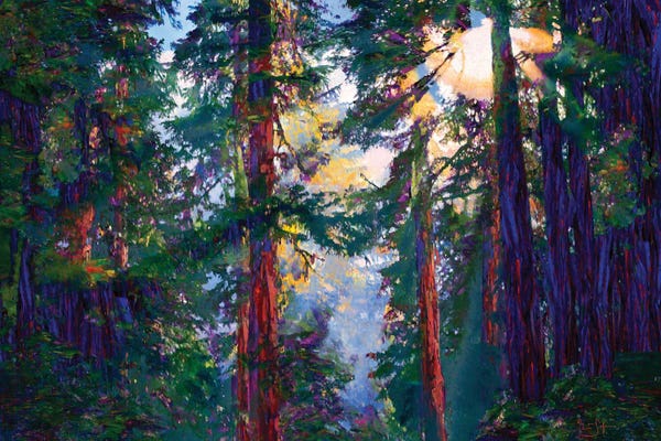 Pine Trees: Sunlight Through Trees by Lisa Robinson