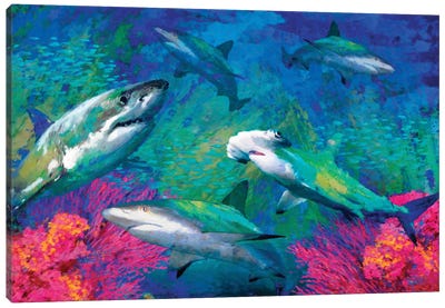 Underwater Canvas Art Print - Shark Art