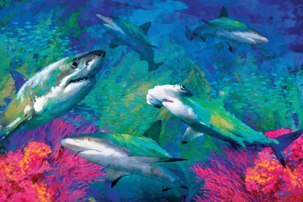 Sharks