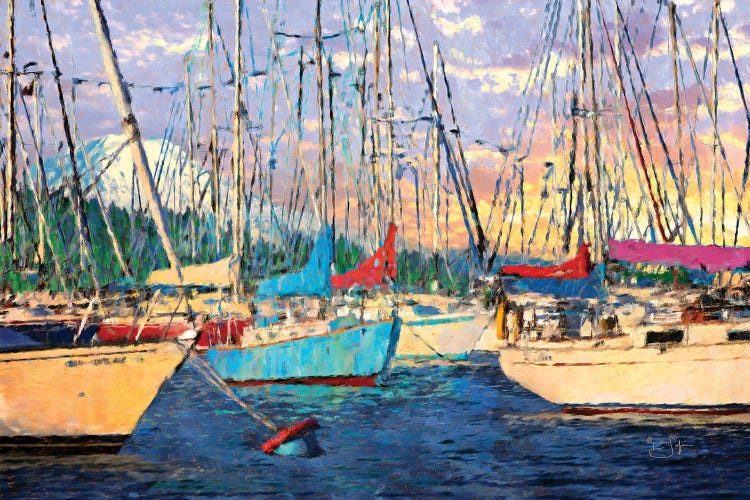 Before the Sail