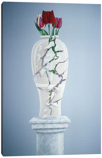 Cracked Urn Canvas Art Print - Lincoln Seligman