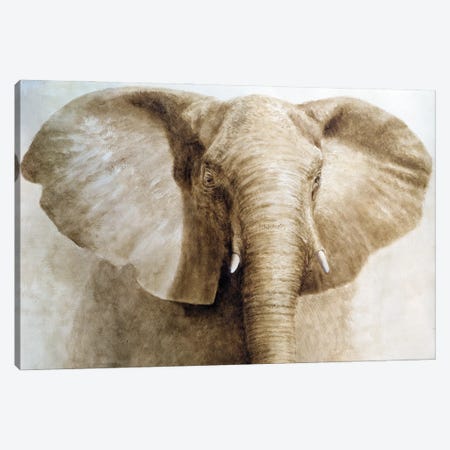 Elephant Canvas Print #LIS12} by Lincoln Seligman Canvas Artwork