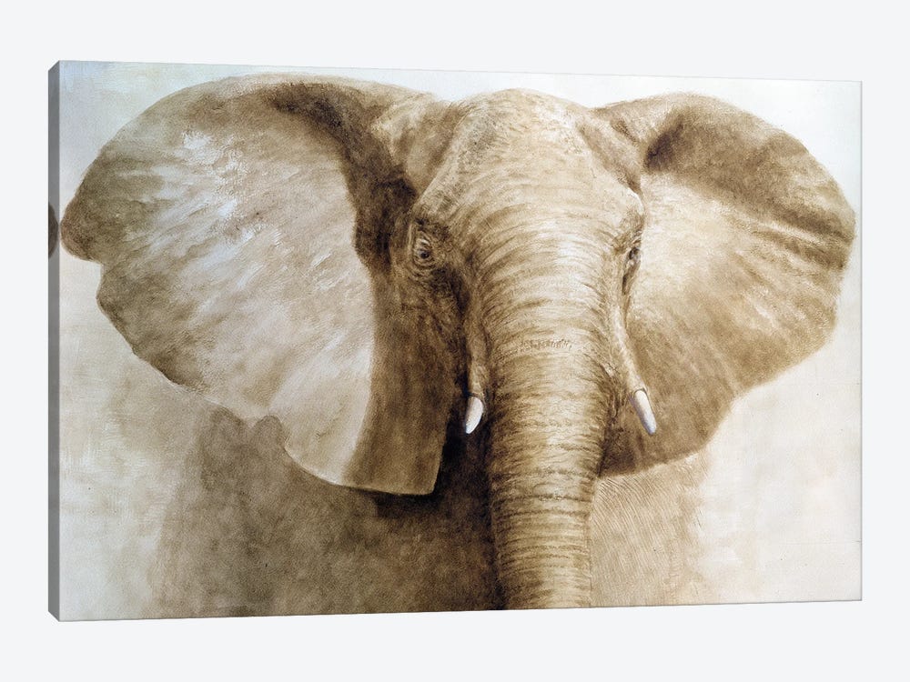 Elephant 1-piece Art Print
