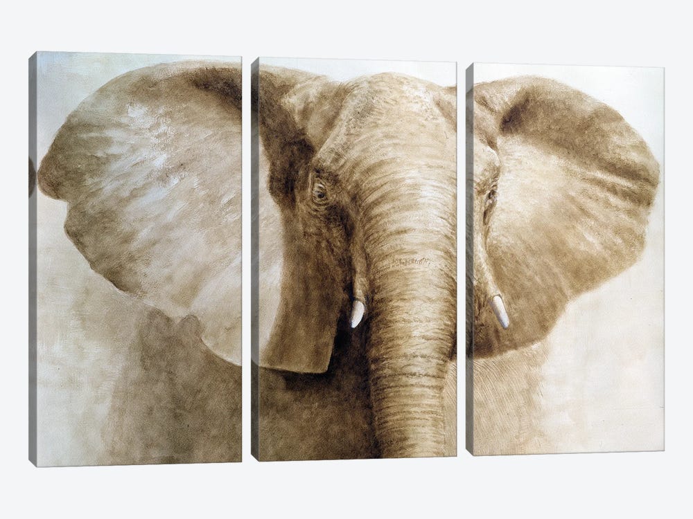Elephant 3-piece Canvas Print