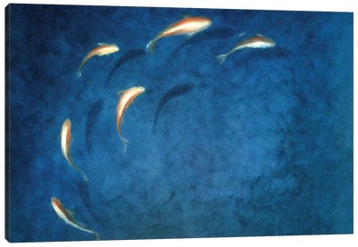 Goldfish Pool Canvas Art Print - Calm Art