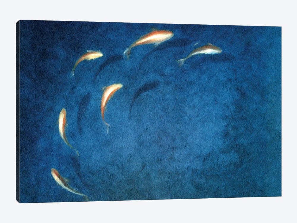 Goldfish Pool by Lincoln Seligman 1-piece Canvas Wall Art