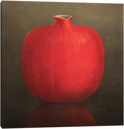 Pomegranate Canvas Art Print - Lincoln Seligman