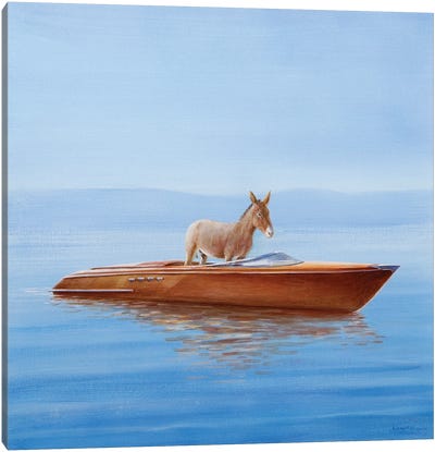Donkey In A Riva, 2010 Canvas Art Print - Rowboat Art