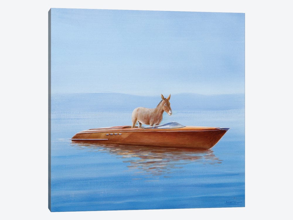 Donkey In A Riva, 2010 by Lincoln Seligman 1-piece Canvas Print