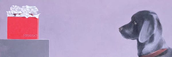 Lincoln Seligman: Chocoholic by Lincoln Seligman