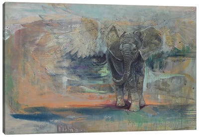 Fledgling Canvas Art Print - Elephant Art
