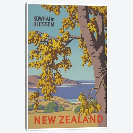 New Zealand: Kowhai In Blossom Canvas Print #LIV238} by Unknown Artist Canvas Print