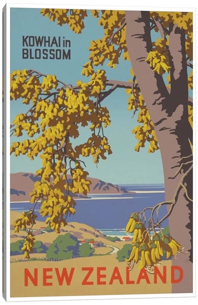 New Zealand: Kowhai In Blossom Canvas Art Print - Vintage Travel Posters