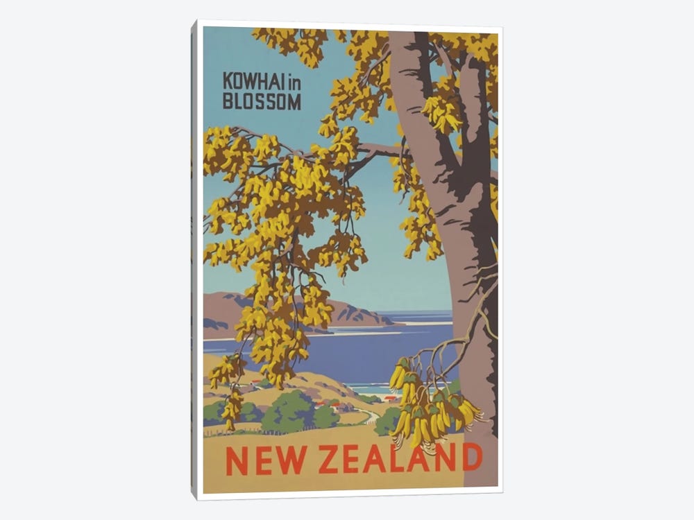 New Zealand: Kowhai In Blossom by Unknown Artist 1-piece Art Print