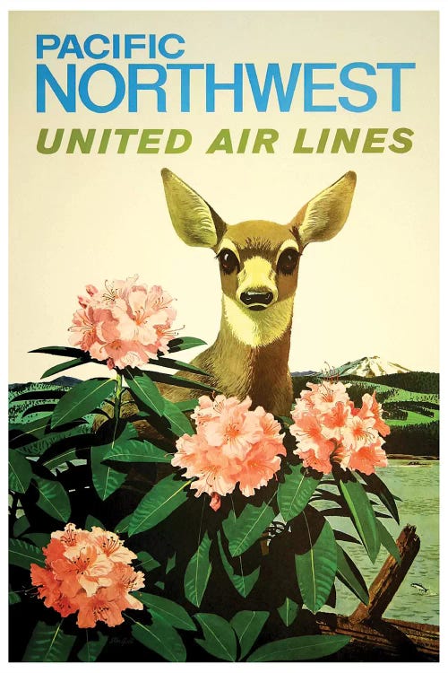 Pacific Northwest United Air Lines