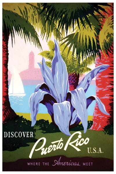 Puerto Rico: Puerto Rico: Where The Americas Meet I by Unknown Artist