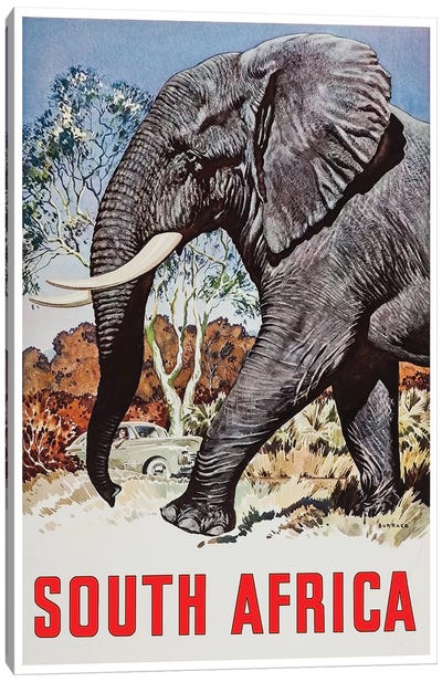 South Africa - Wildlife Canvas Art Print - Vintage Travel Posters