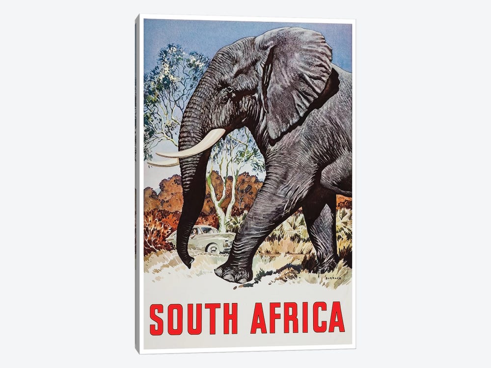 South Africa - Wildlife by Unknown Artist 1-piece Canvas Artwork