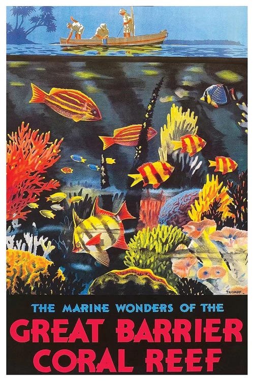 The Marine Wonders Of The Great Barrier Coral Reef by Unknown Artist wall art