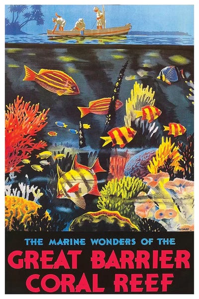 Typography: The Marine Wonders Of The Great Barrier Coral Reef by Unknown Artist