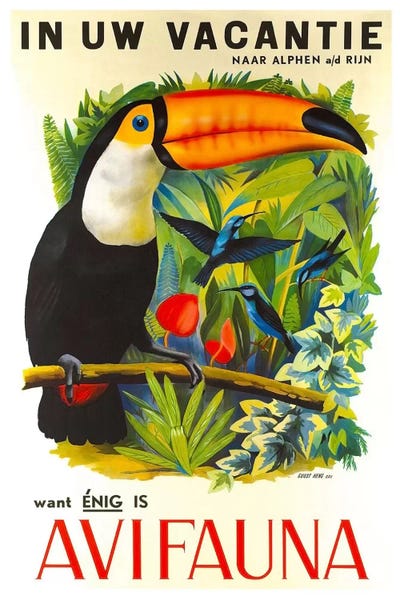 Avi Fauna by Unknown Artist canvas print