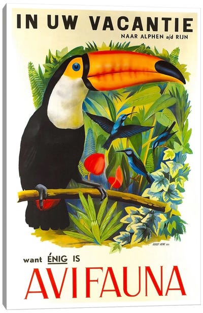 Avi Fauna Canvas Art Print - Travel Posters
