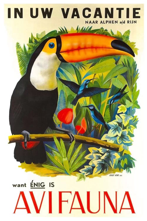 Avi Fauna by Unknown Artist wall art