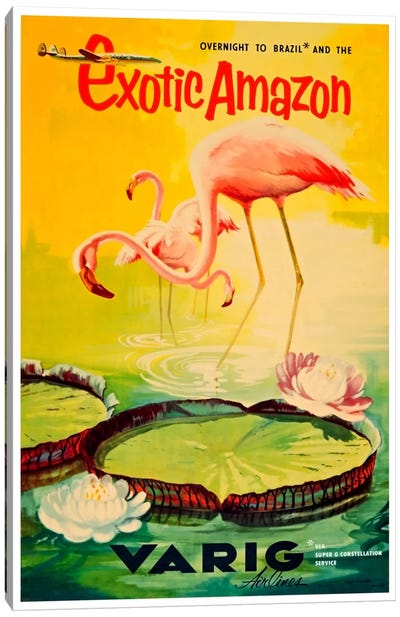 Exotic Amazon - Varig Airlines Canvas Art Print - Flamingo Art
