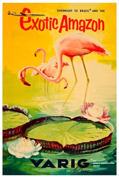 Latin Décor: Exotic Amazon - Varig Airlines by Unknown Artist