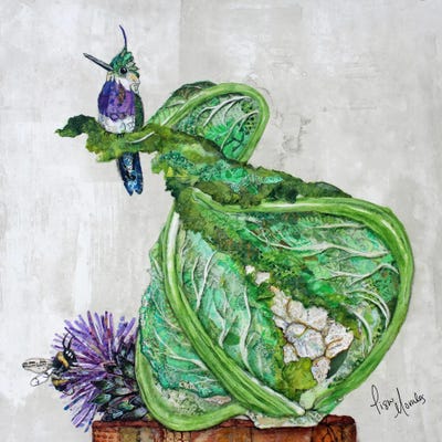 Lisa Morales - Canvas Prints: Hummingbird on Cauliflower by Lisa Morales