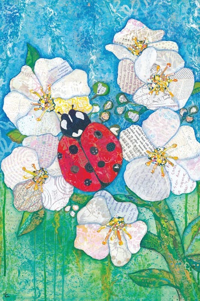 Ladybugs: Insect Ladybuy on White by Lisa Morales