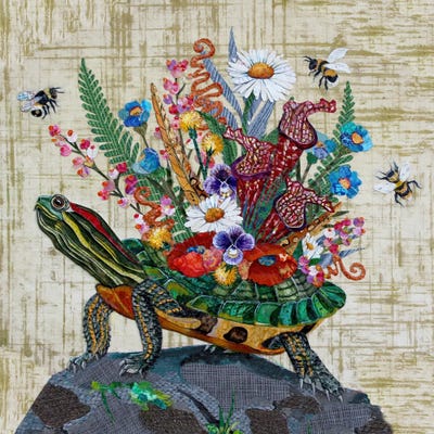 Lisa Morales - Canvas Prints: Plant Red Eared Slider Full by Lisa Morales