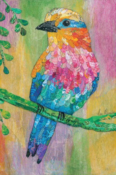 Bird Lilac Breasted Roller