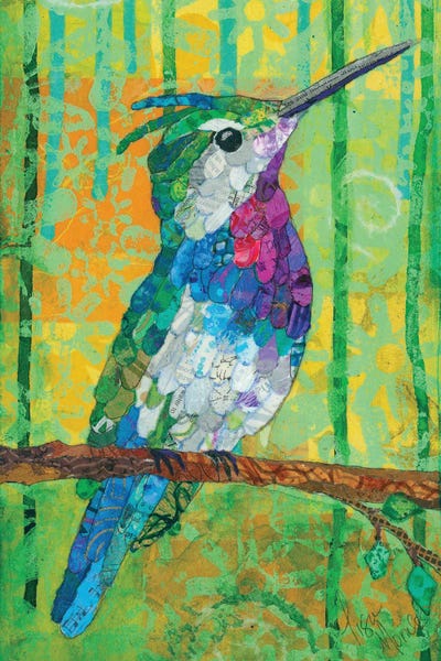 Bird Plovercrest Hummingbird