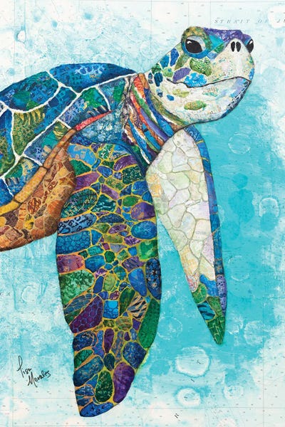 Coastal Blue Tortuga
