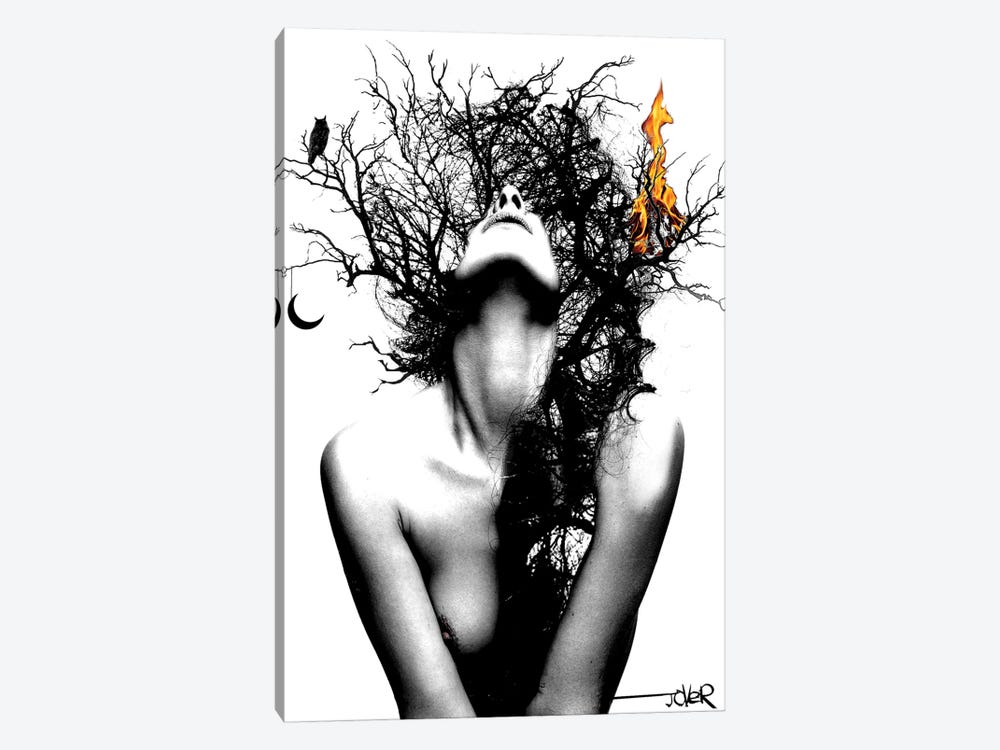 Wisdom And Fire by Loui Jover 1-piece Canvas Art Print
